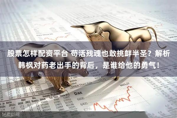 股票怎样配资平台 苟活残魂也敢挑衅半圣？解析韩枫对药老出手的背后，是谁给他的勇气！