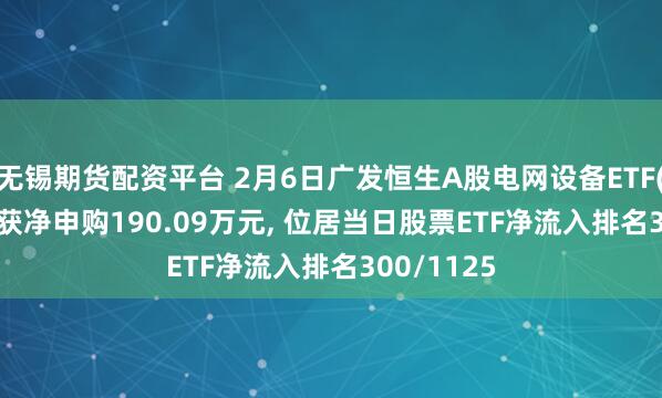 无锡期货配资平台 2月6日广发恒生A股电网设备ETF(159320)获净申购190.09万元, 位居当日股票ETF净流入排名300/1125