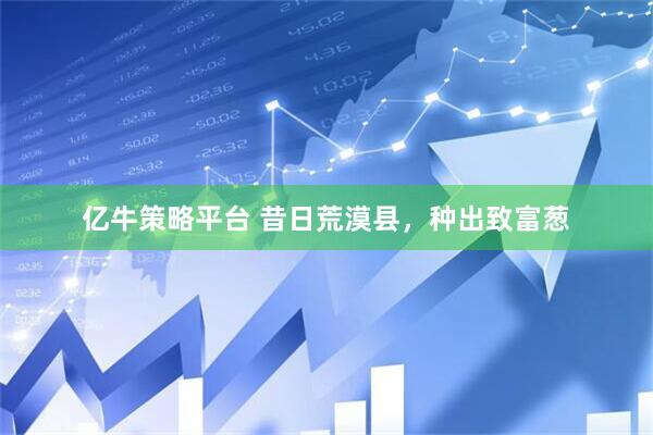 亿牛策略平台 昔日荒漠县，种出致富葱
