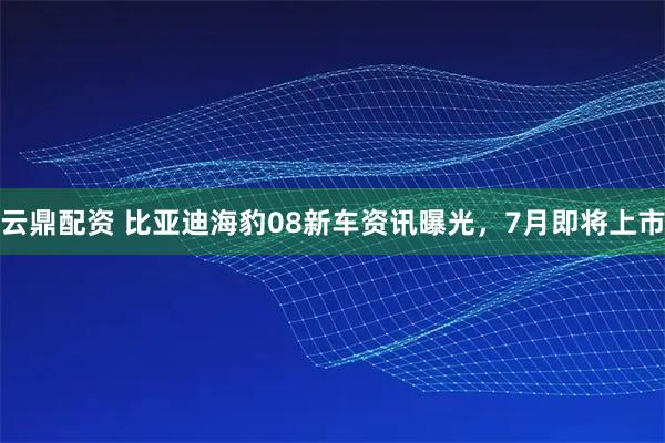 云鼎配资 比亚迪海豹08新车资讯曝光，7月即将上市